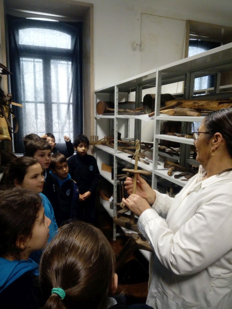 Nos Bastidores do Museu