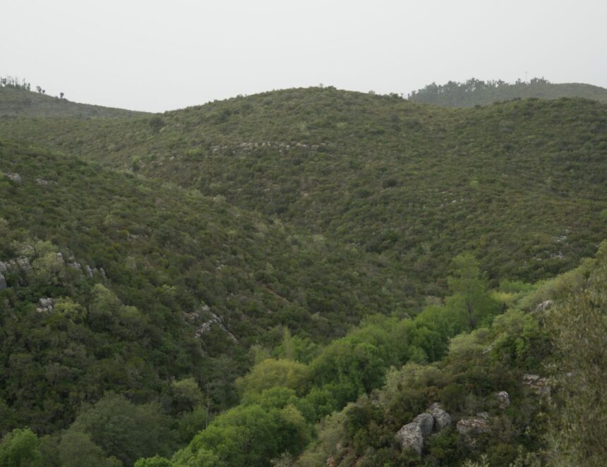 Vale Seco da Ribeira dos Chãos