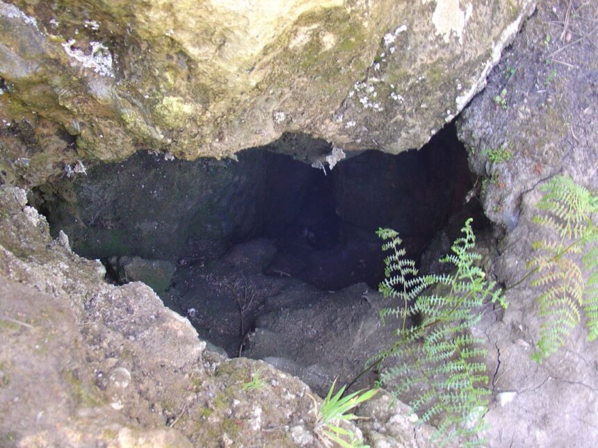 Mina de Carvão da Lagoa de Sta. Catarina