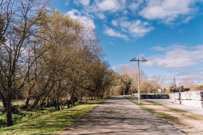 Parque da Cidade António Teixeira
