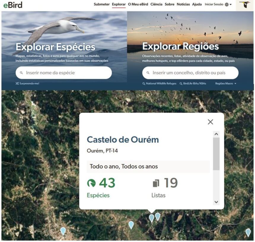 Projeto eBird